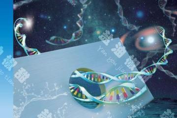 逆转DNA甲基化抗衰老话题引关注中医药创新研发成果登SCI期刊
