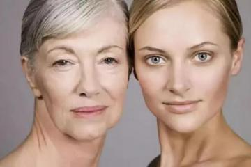 导致皮肤老化的重要蛋白发现